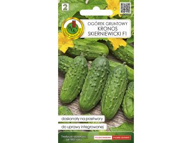 Zdjęcie: Ogórek gruntowy Kronos Skierniewicki F1 2 g PNOS