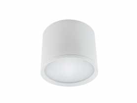 Oprawa sufitowa SMD Rolen Led 10W kolor biały STRUHM