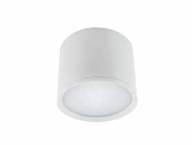 Oprawa sufitowa SMD Rolen Led 10W kolor biały STRUHM
