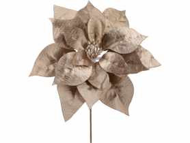 Gwiazda betlejemska pik 24 cm szampańska JUMI