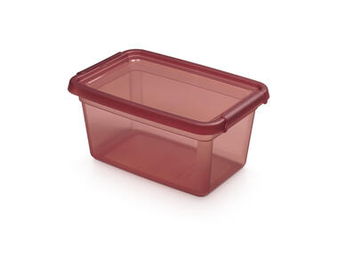 Zdjęcie: Pojemnik z pokrywką i klipsami 19x28x13 cm 4,5 L Rhubarb (2322) Basestore ORPLAST
