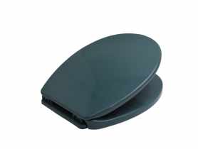 Deska sedesowa Iris zieleń sosnowa BISK