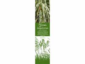 Trawa dwukolorowa zielono- kremowa GARTENLAND