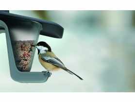 Karmnik dla ptaków Birdfeed Double szary kamienny PROSPERPLAST