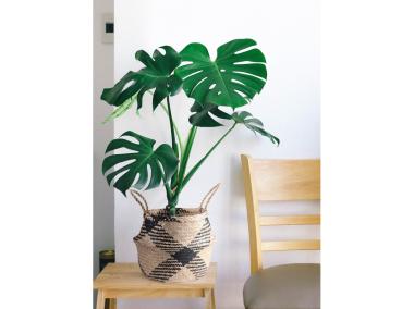 Zdjęcie: Koszyk z trawy morskiej 23x23x23/32 cm TIN TOURS