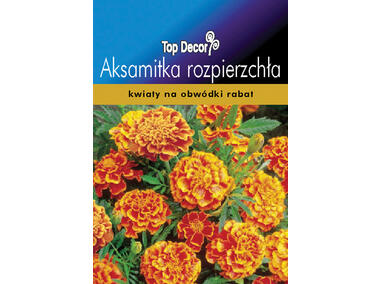 Zdjęcie: Aksamitka rozpierzchła TOP DECOR