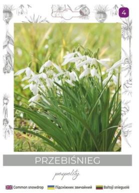 zdjęcie produktu