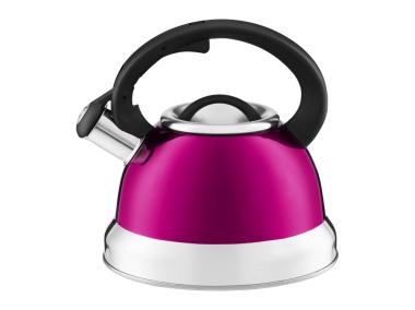 Zdjęcie: Czajnik Rene 2,2 L mix kolorów AMBITION
