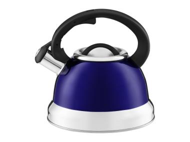Zdjęcie: Czajnik Rene 2,2 L mix kolorów AMBITION