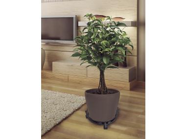 Zdjęcie: Podstawka metalowa na kółkach pod doniczkę Flora Roll, fi32 cm, czarny NORTENE