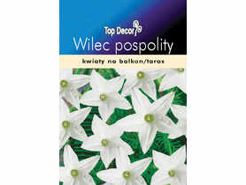 Wilec pospolity TOP DECOR