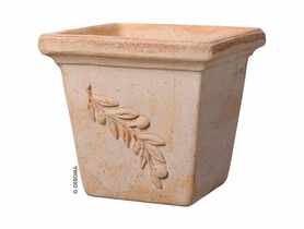 Donica Quadro Olive 18 cm DEROMA