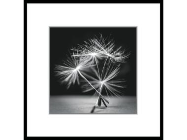 Zdjęcie: Obraz Artbox 50x50 cm Ab007 Dandel 1 STYLER