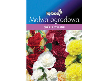 Zdjęcie: Malwa ogrodowa TOP DECOR