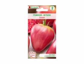Pomidor gruntowy wysoki malinowy bawole serce 0.1 g W. LEGUTKO