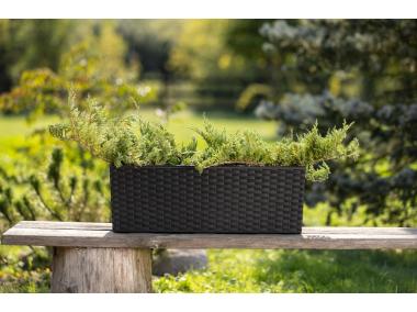 Zdjęcie: Kwietnik Begonia 190x560 mm rattan, czarny LAMELA