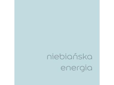 Zdjęcie: Farba do wnętrz EasyCare 5 L niebiańska energia DULUX