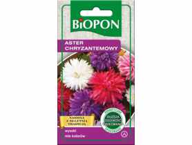 Aster wysoki chryzantemowy mieszanka 1 g BIOPON