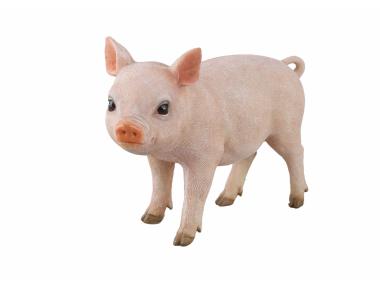 Zdjęcie: Świnka różowa 18 cm 02911 DIRECT HG