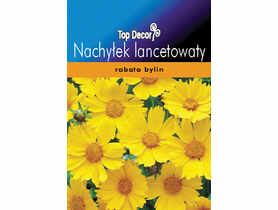 Nachyłek lancetowaty TOP DECOR