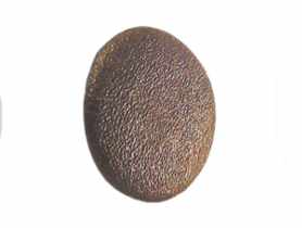 Zaślepka ozdobna do wkrętów hartowanych brązowe 100 szt. WKRĘT-MET