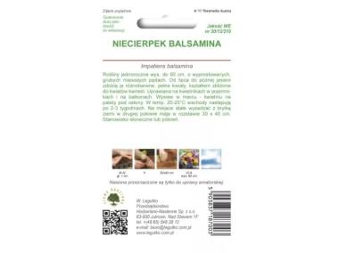 Zdjęcie: Niecierpek balsamina mieszanka 1 g W.LEGUTKO