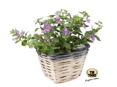 Zdjęcie: Osłonka wiklinowa 14x14x10 cm kwadratowa TIN TOURS