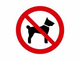Oznaczenie "Zakaz wstępu ze zwierzętami" 15x15 cm METRO
