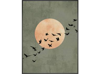 Zdjęcie: Obraz Decobox 60x80 cm Midnight Flight STYLER