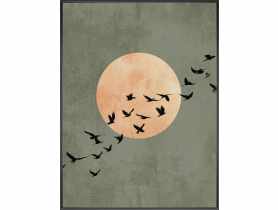 Obraz Decobox 60x80 cm Midnight Flight STYLER