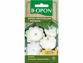 Dynia zwyczajna Disco patison 2 g BIOPON