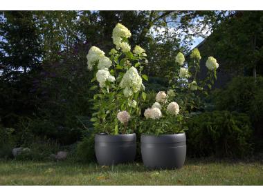 Zdjęcie: Donica Koma classic 460, antracyt LAMELA