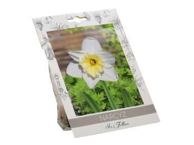 Zdjęcie: Narcyz Ice Follies W.LEGUTKO