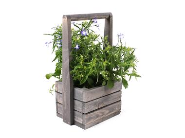 Zdjęcie: Skrzynka drewniana z pałąkiem mała 18x13x11 cm/31 cm szara TIN TOURS