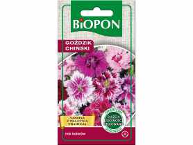 Goździk chiński mieszanka 1 g BIOPON