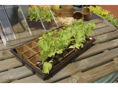 Zdjęcie: Mini szklarnia z biodegradowalnym podłożem Growing Kit 28 doniczek 5x5 cm, 38x23 cm, brązowy NORTENE