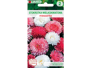 Zdjęcie: Stokrotka pospolita wielokwiatowa miesznka 0,1 kg LEGUTKO