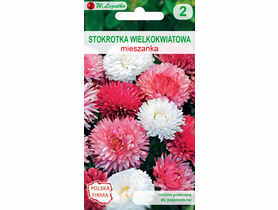 Stokrotka pospolita wielokwiatowa miesznka 0,1 kg LEGUTKO