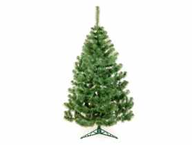 Jodła 180 cm JUMI