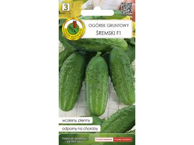 Zdjęcie: Ogórek gruntowy Śremski F1, 1,5 g PNOS