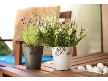 Zdjęcie: Osłonka Aster 13 cm biała VERDENIA