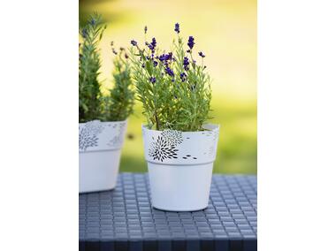 Zdjęcie: Osłonka Aster 13 cm biała VERDENIA