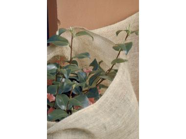 Zdjęcie: Worek z juty Naturesac 1 x 1,1 m, naturalny NORTENE