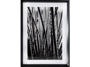 Zdjęcie: Obraz Nature 1, 50x70x3 cm EUROFIRANY