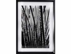 Obraz Nature 1, 50x70x3 cm EUROFIRANY