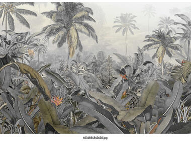 Zdjęcie: Fototapeta Amazonia XXL VENA