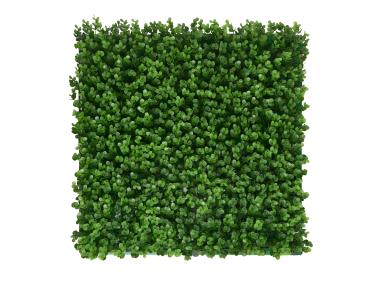 Zdjęcie: Panel roślinny Gardenia 12 - 50x50cm DMS