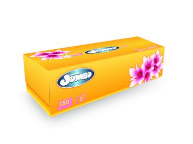 Zdjęcie: Chusteczki higieniczne uniwersalne 2-warstwowe karton 150 szt. SŁONIK JUMBO