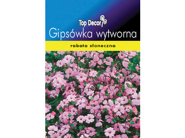 Zdjęcie: Gipsówka wytworna TOP DECOR