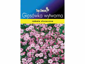 Gipsówka wytworna TOP DECOR